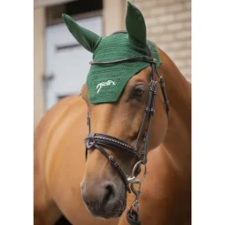 Bonnet Coton - Vert Forêt