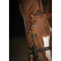 Bridon Daily Strass - Havane