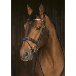 Bridon Daily Strass - Noir