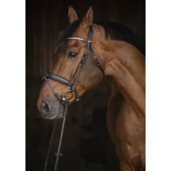 Bridon Daily Strass - Noir