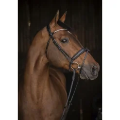 Bridon Daily Strass - Noir