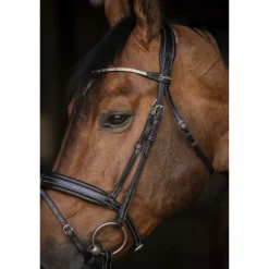 Bridon Daily Strass - Noir