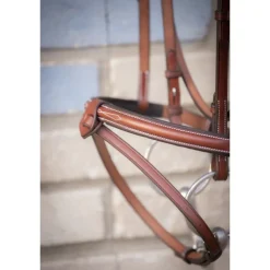 Bridon Hunter US - Noisette & Havane