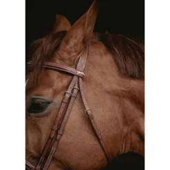 Bridon Hunter US - Noisette & Havane