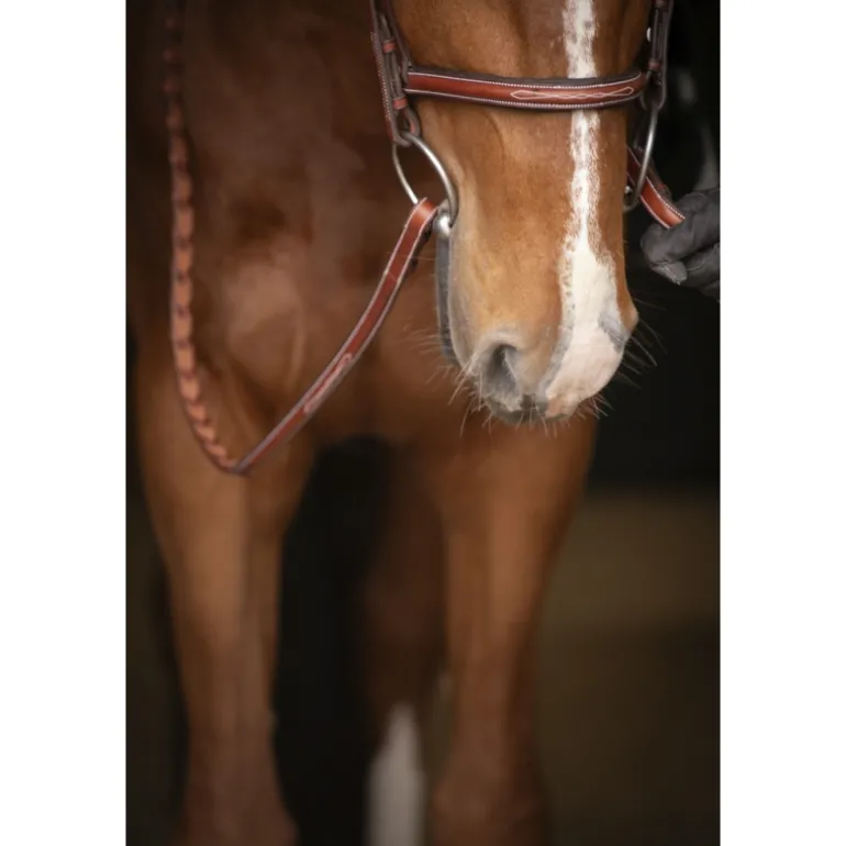 Bridon Hunter US - Noisette & Havane