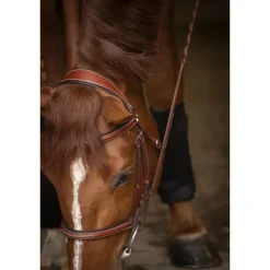 Bridon Hunter US - Noisette & Havane