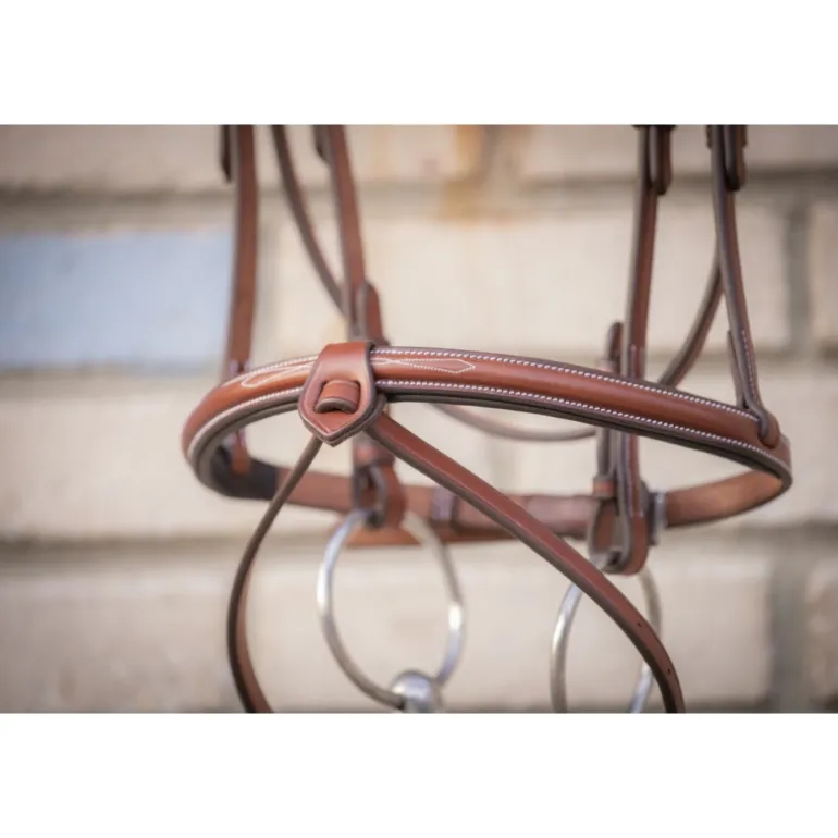 Bridon Hunter US - Noisette & Havane