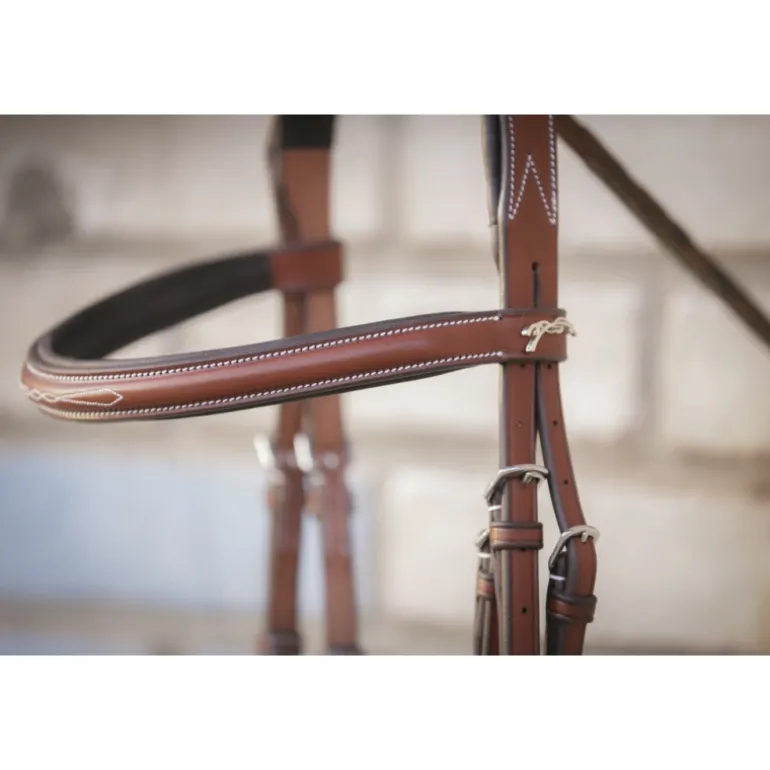 Bridon Hunter US - Noisette & Havane