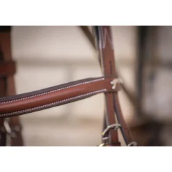 Bridon Hunter US - Noisette & Havane