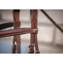 Bridon Hunter US - Noisette & Havane