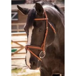 Bridon Élégance - Cognac