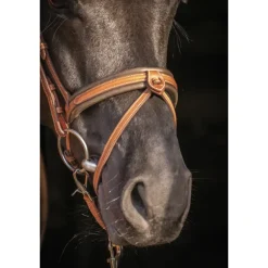 Bridon Élégance - Cognac