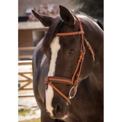 Bridon Élégance - Cognac