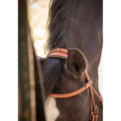 Bridon Élégance - Cognac