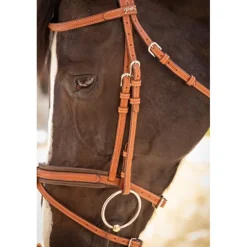 Bridon Élégance - Cognac