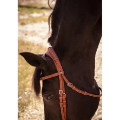 Bridon Élégance - Cognac