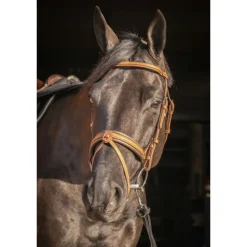 Bridon Élégance - Cognac