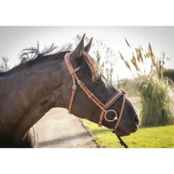 Bridon Élégance - Cognac