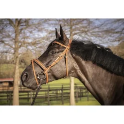 Bridon Élégance - Cognac