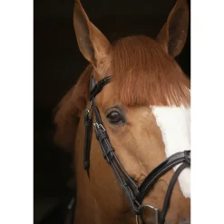 Bridon Oxford - Noir