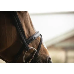 Bridon Oxford - Noir