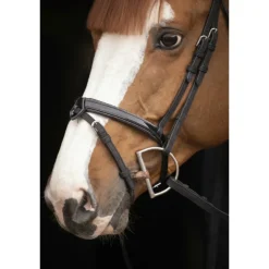 Bridon Oxford - Noir