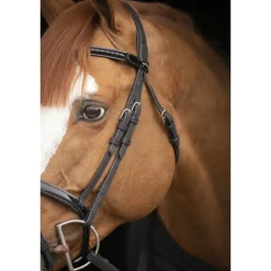 Bridon Oxford - Noir