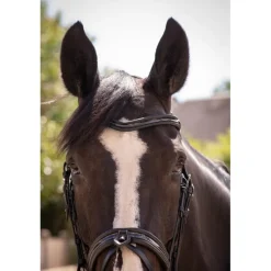 Bridon Smoothie - Noir