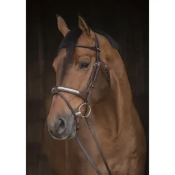 Bridon Symphonie - Havane