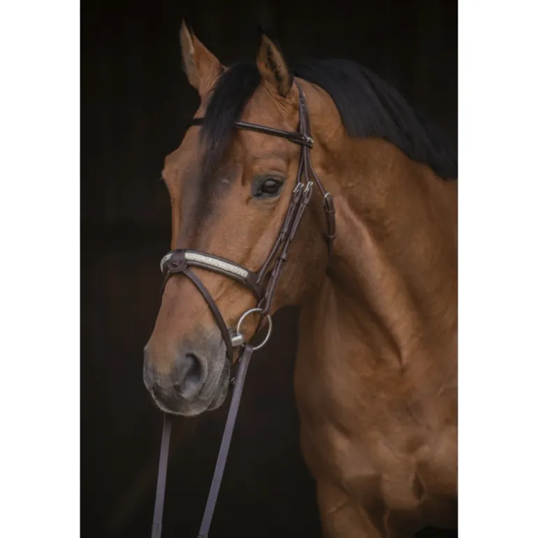 Bridon Symphonie - Havane