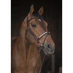 Bridon Symphonie - Havane