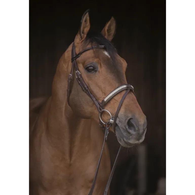 Bridon Symphonie - Havane