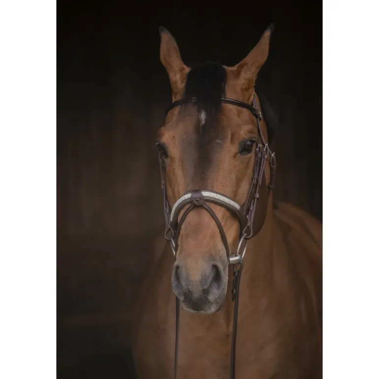 Bridon Symphonie - Havane