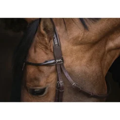 Bridon Symphonie - Havane