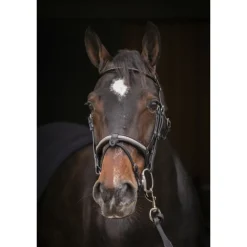 Bridon Symphonie - Noir