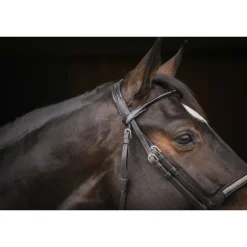 Bridon Symphonie - Noir