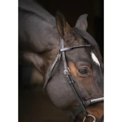 Bridon Symphonie - Noir