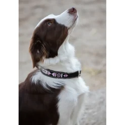 Collier Pearl - Havane & Rose