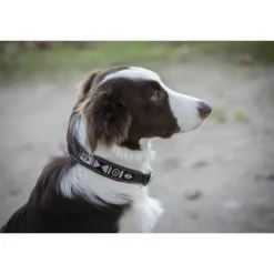 Collier Pearl - Havane & Rose