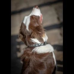 Collier Pearl - Noir & Blanc