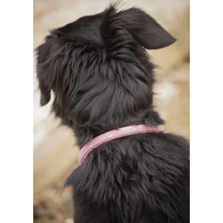 Collier pour Chien Billie - Rose