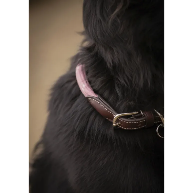 Collier pour Chien Billie - Rose