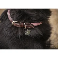 Collier pour Chien Billie - Rose