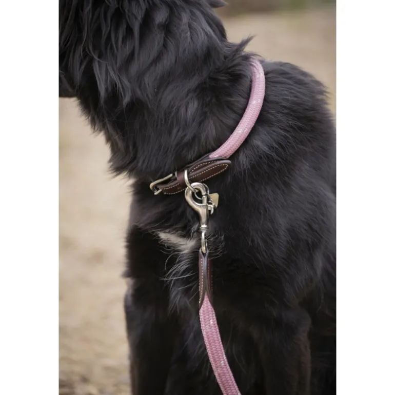 Collier pour Chien Billie - Rose