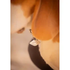 Collier pour Chien Billie - Noir