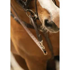 Enrênement Howlett - Havane