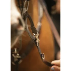 Enrênement Howlett - Havane