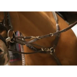 Enrênement Howlett - Havane