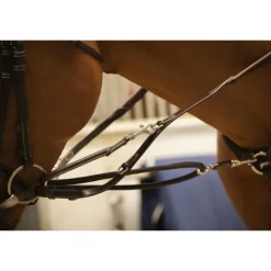 Enrênement Howlett - Havane