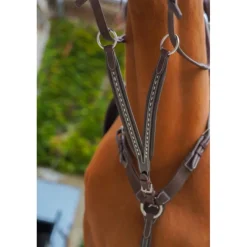 Flèche de Martingale Point Sellier - Havane